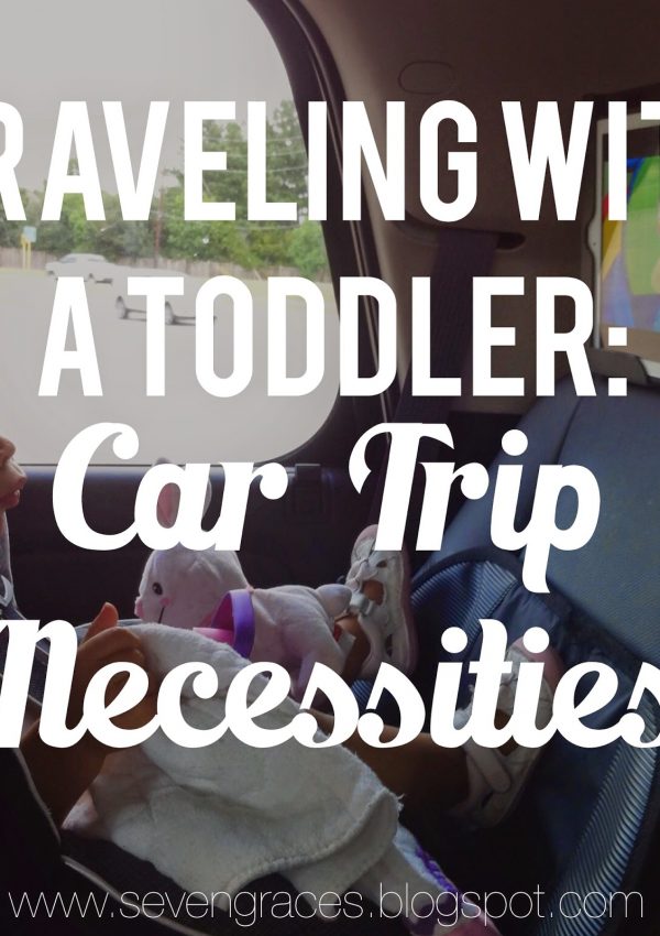 Traveling with a Toddler: Car Trip Necessities