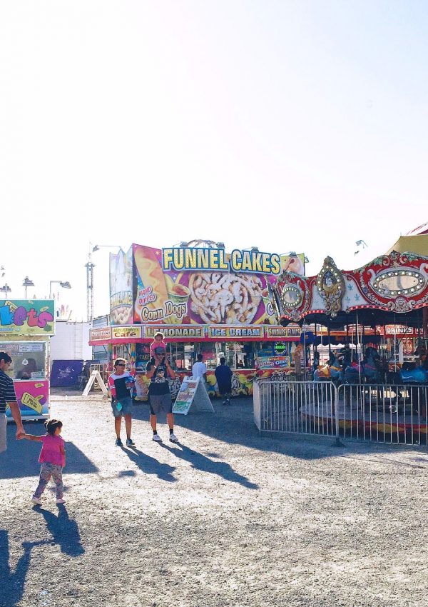 Our Weekend at the County Fair 2015