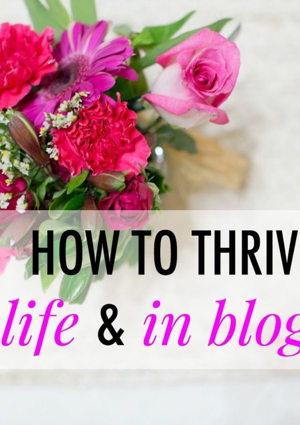 How to Thrive in Life & Blogging
