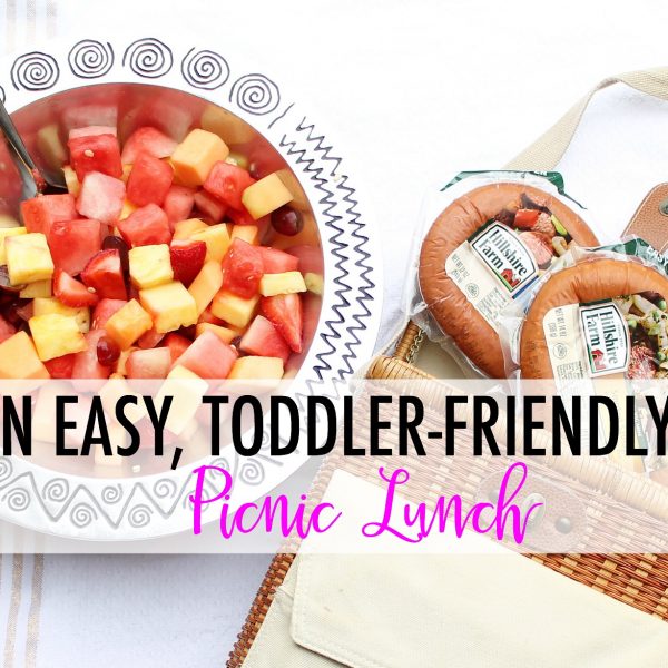 an easy, toddler friendly picnic lunch