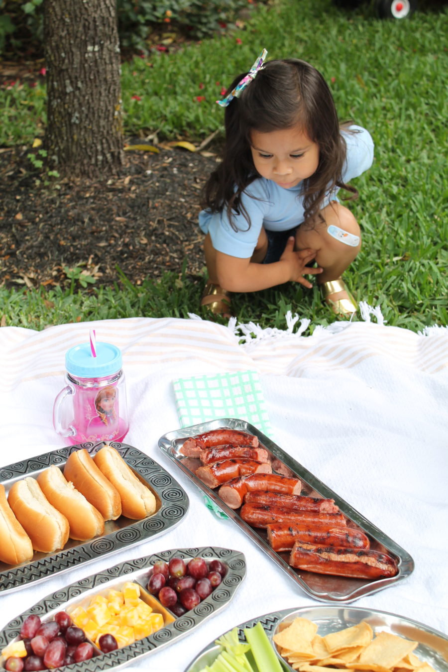 An easy, toddler-friendly picnic lunch. All you'll need for the perfect picnic with your toddler. Easy toddler lunch.