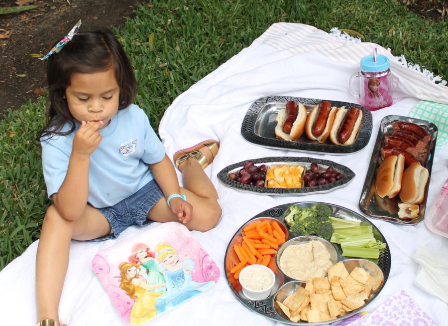 toddler picnic 7