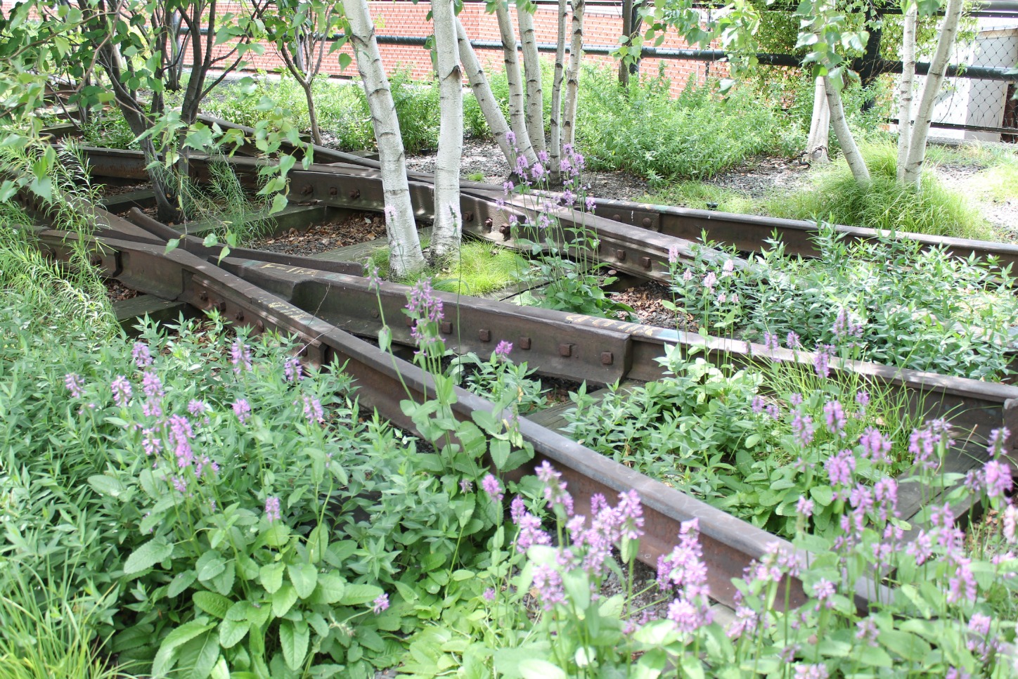 High Line-train tracks