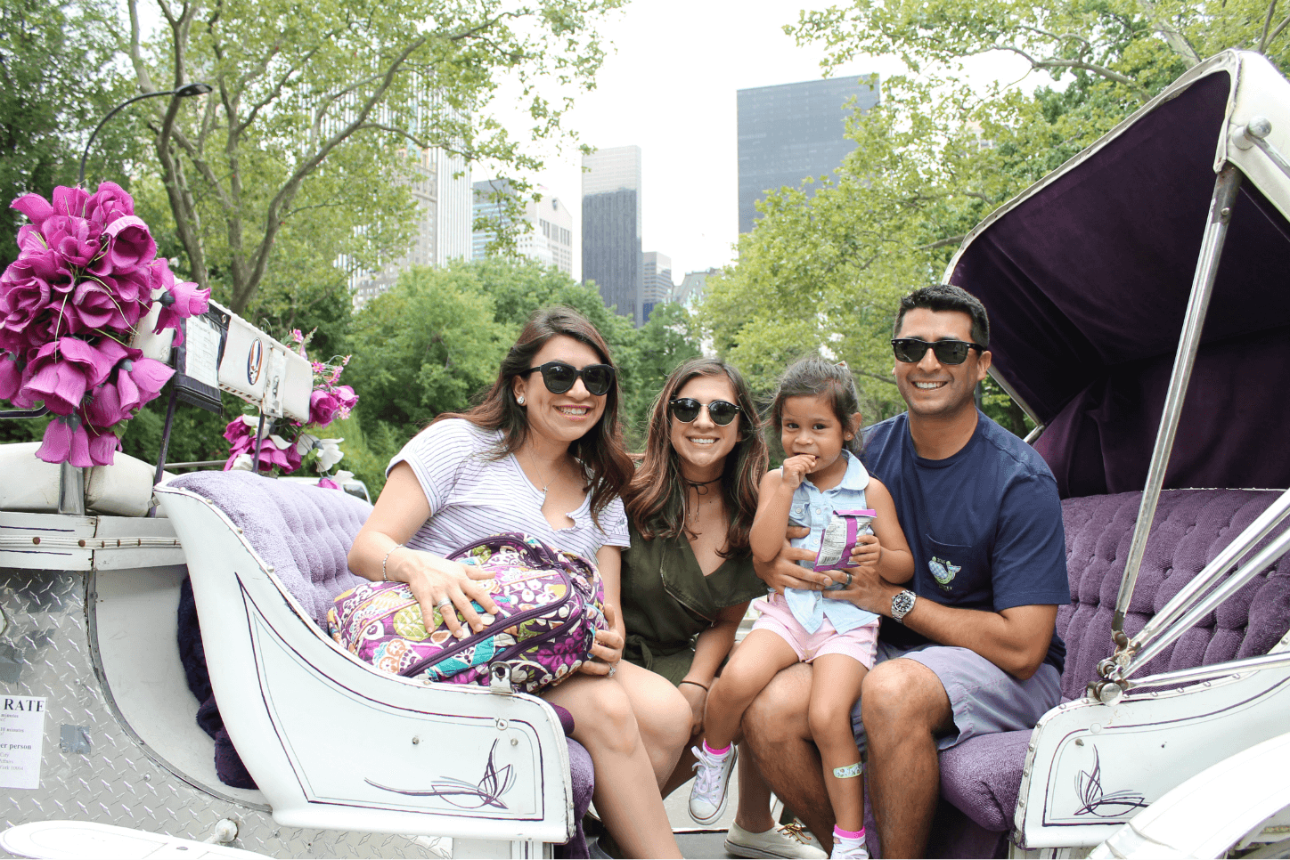 Kid-friendly activities in New York City | Kid-Friendly Activities in NYC. Fun things to do in NYC with your family. Central Park carriage ride.