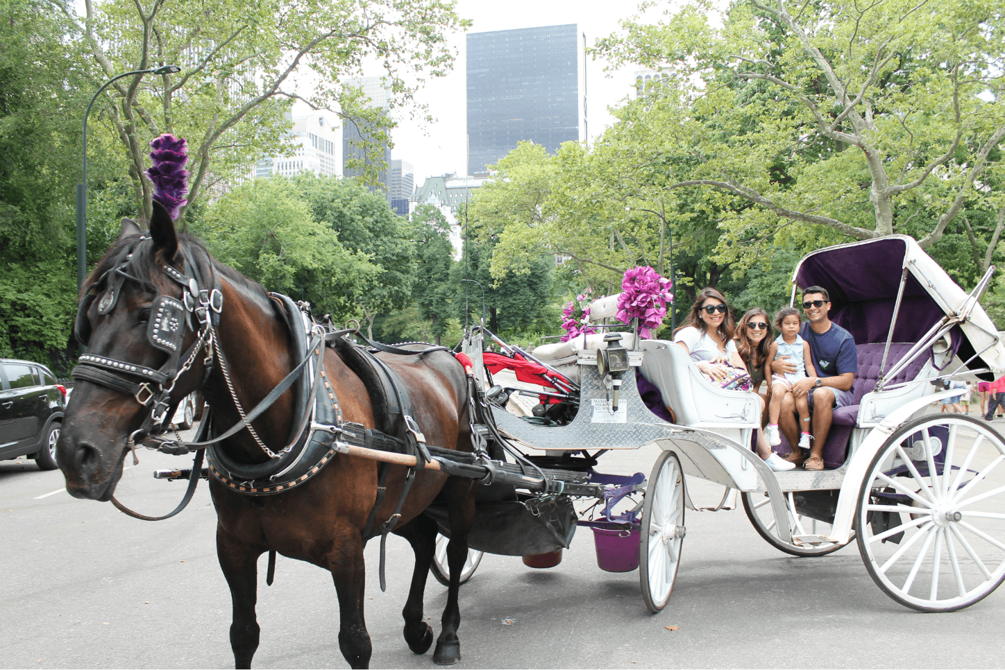 Kid-friendly activities in New York City | Kid-Friendly Activities in NYC. Fun things to do in NYC with your family. Central Park carriage ride.