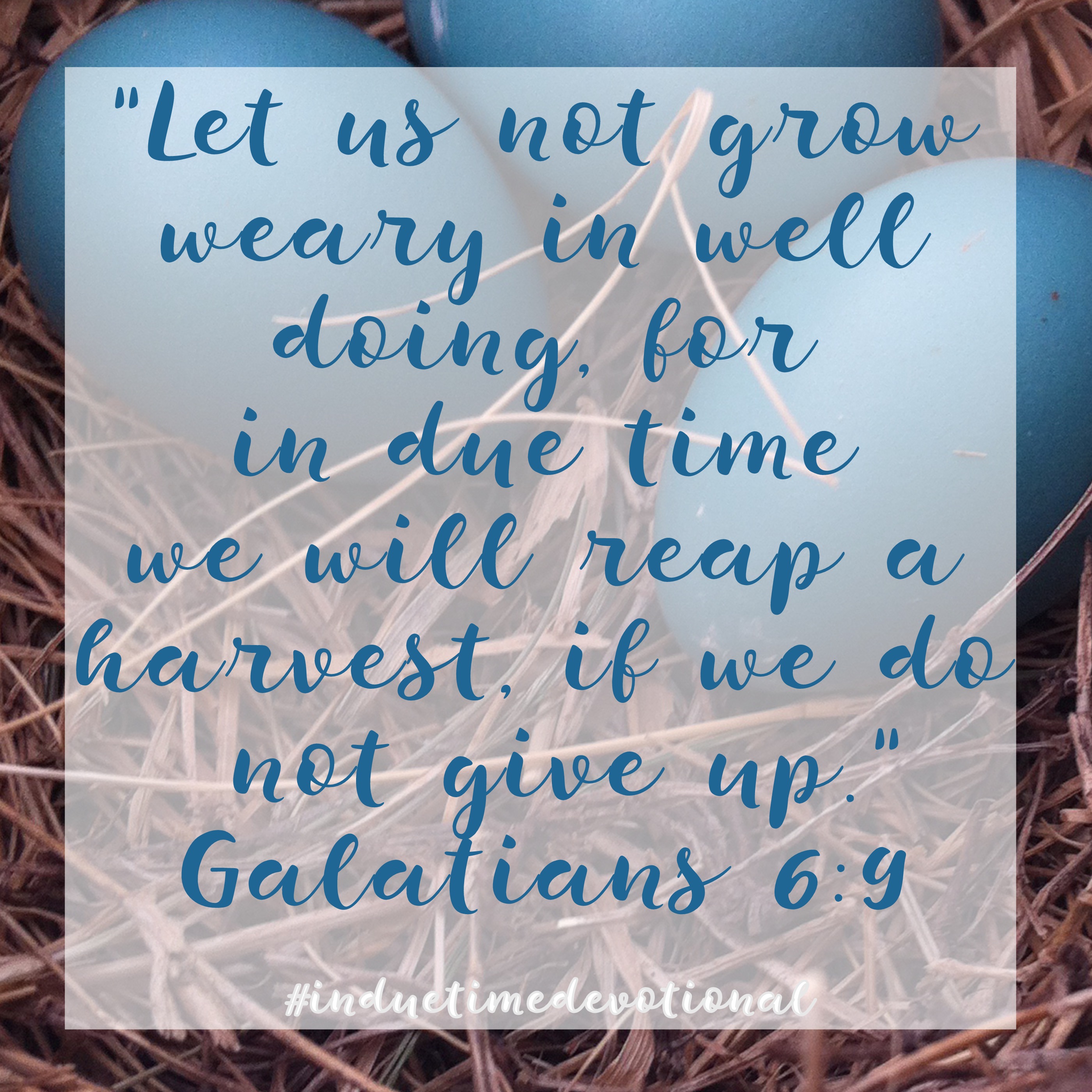 Galations 6:9 // In Due Time 60-Day devotional for those in the season of waiting. #induetimedevotional