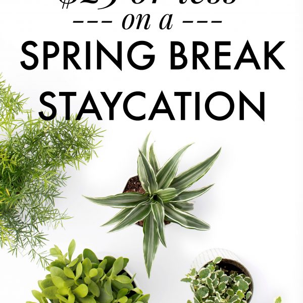 5 Ways to Have an Awesome Spring Break Staycation for $25 or Less. Great tips to have a fun staycation with your family while not breaking the bank. Inexpensive ways to have fun on Spring Break.