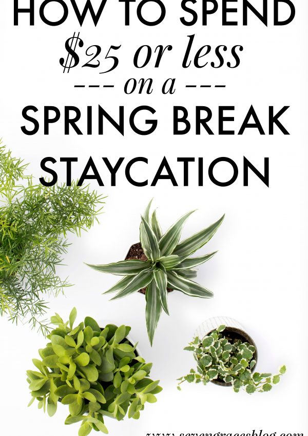 How to Spend $25 or Less on a Spring Break Staycation
