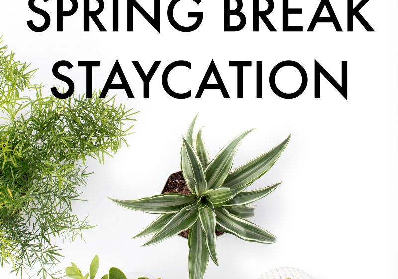 5 Ways to Have an Awesome Spring Break Staycation for $25 or Less. Great tips to have a fun staycation with your family while not breaking the bank. Inexpensive ways to have fun on Spring Break.