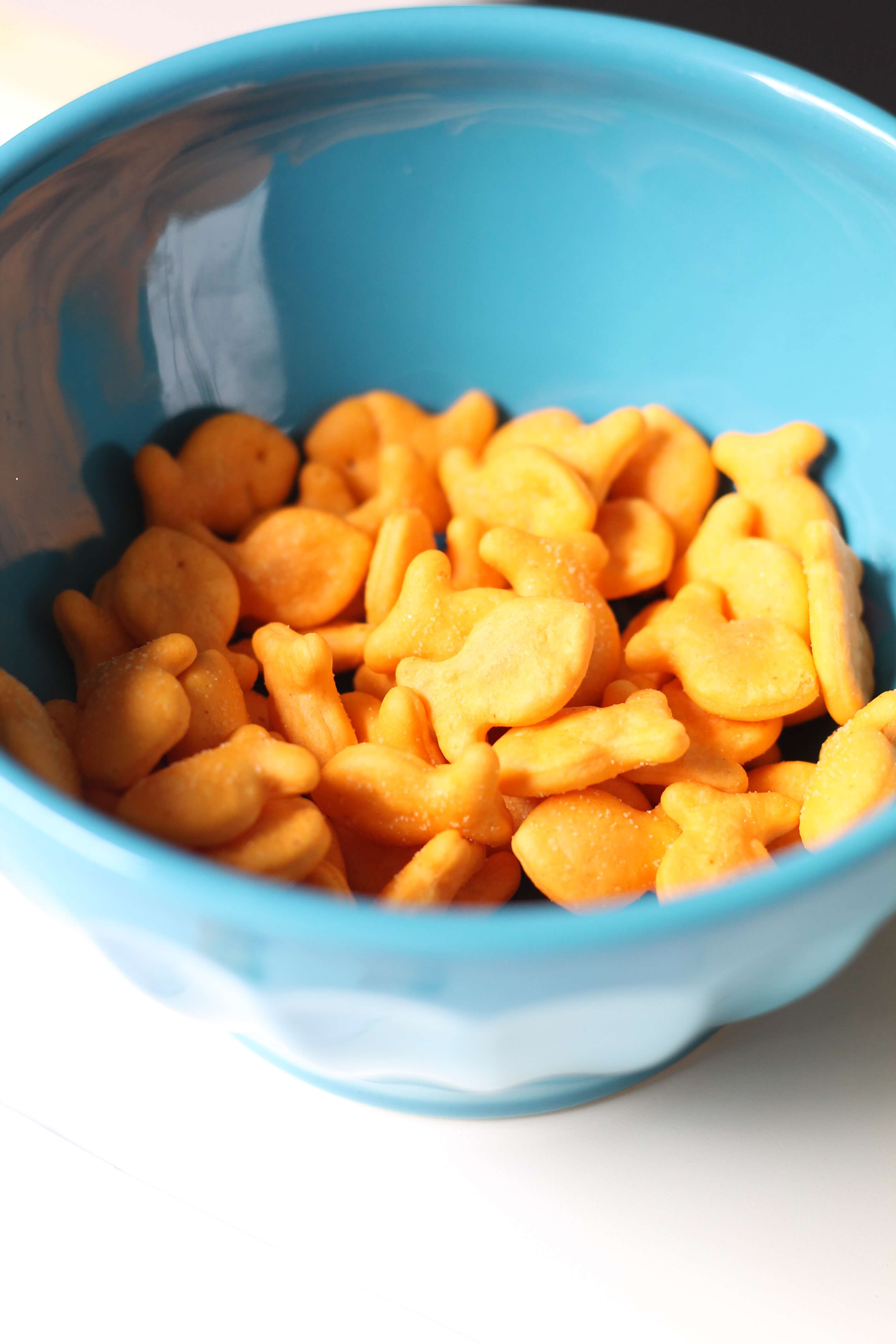 Goldfish crackers in an Anthro latte bowl for the win!