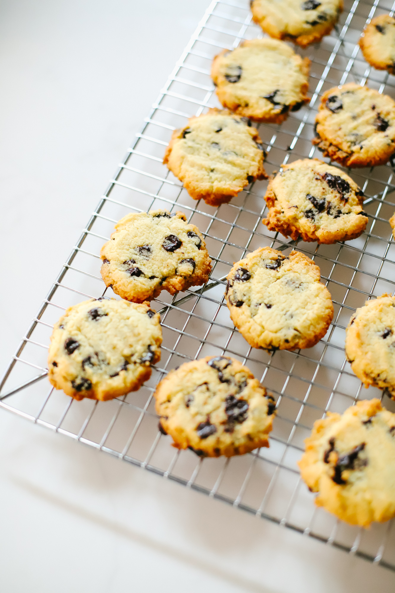 The perfect Keto Chocolate Chip Cookie! The BEST sugar-free, gluten-free, low-carb cookie you will ever eat!