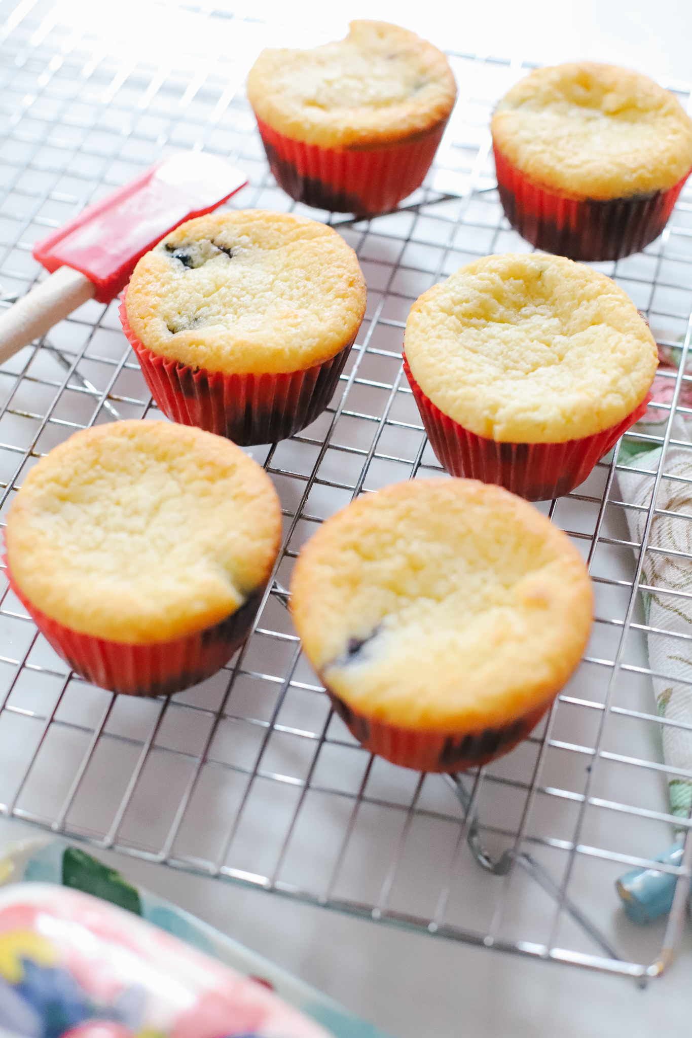 The very best keto blueberry muffins with minimal ingredients! So moist, sweet, and delicious. These almond flour muffins are the best!